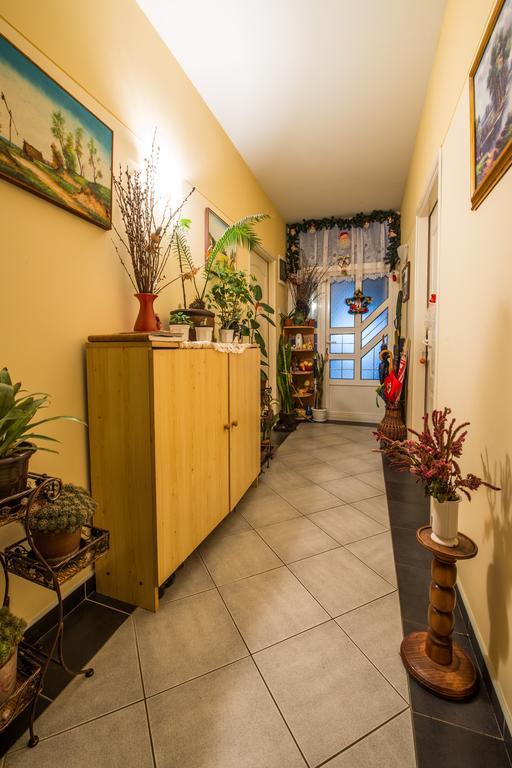 ホテル Eco Rural Tourism Association Skorenovac エクステリア 写真